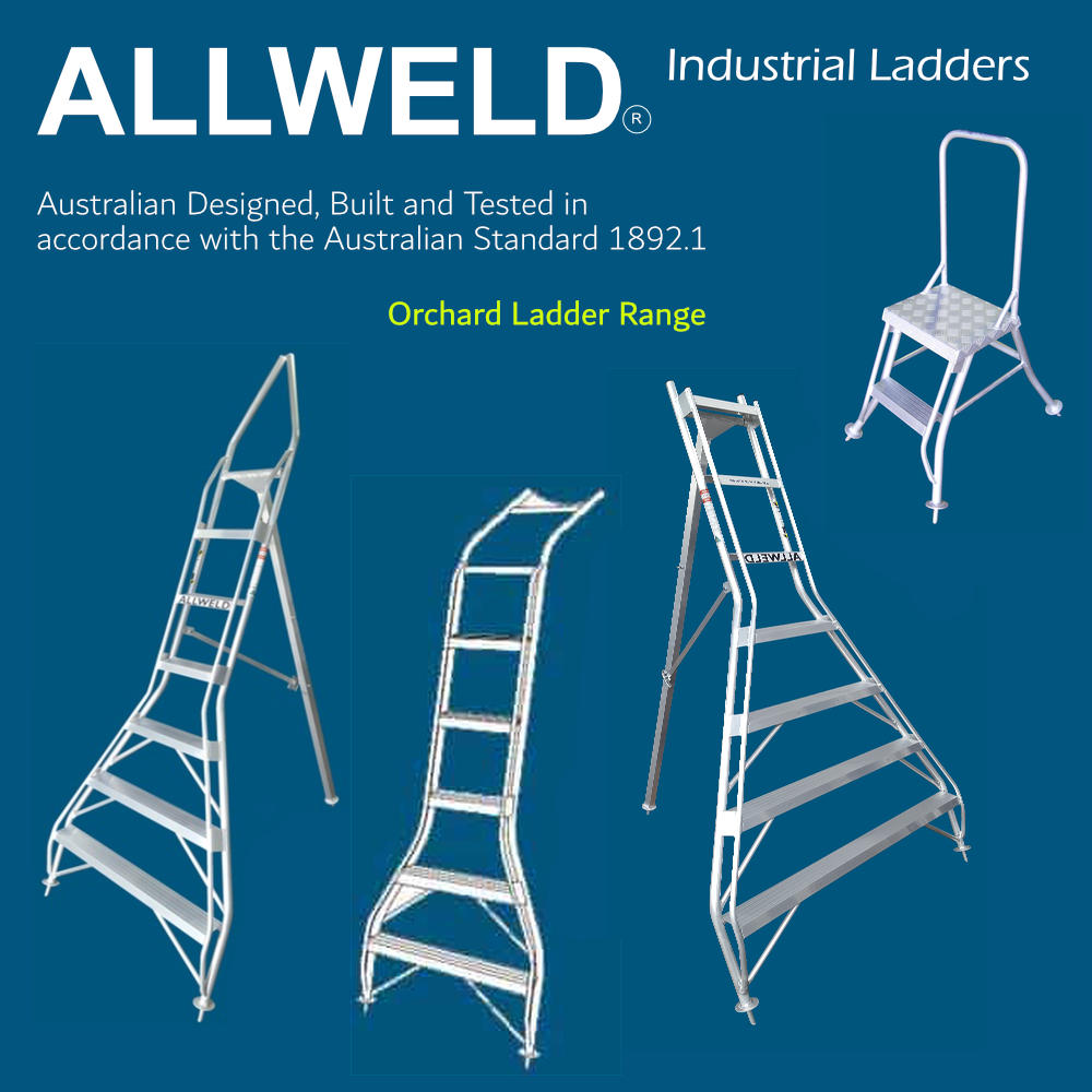 ALLWELD Banana Ladder - Image 3